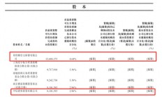 扭亏或“昙花一现”？瑞为技术闯关港交所，与主要客户无长期合约