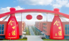 今世缘：业绩增幅放缓全年目标恐落空，股价连跌三年股权激励行权难，存货高位合同负债锐减
